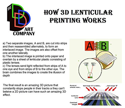 Sexy Rogue Warrior Girl 3D Poster Wall Art Decor Framed Print | 12X16 Inches | Army Assassin Super Soldier Lenticular Posters & Pictures #TOP6