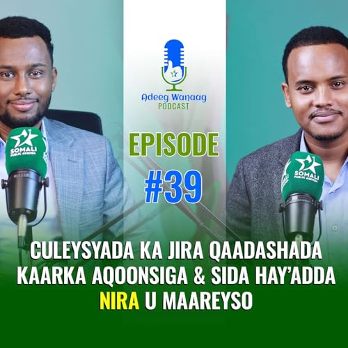 Culeysyada Ka Jira Qaadashada Kaarka Aqoonsiga & Sida Hay&rsquo;adda NIRA u Maareyso