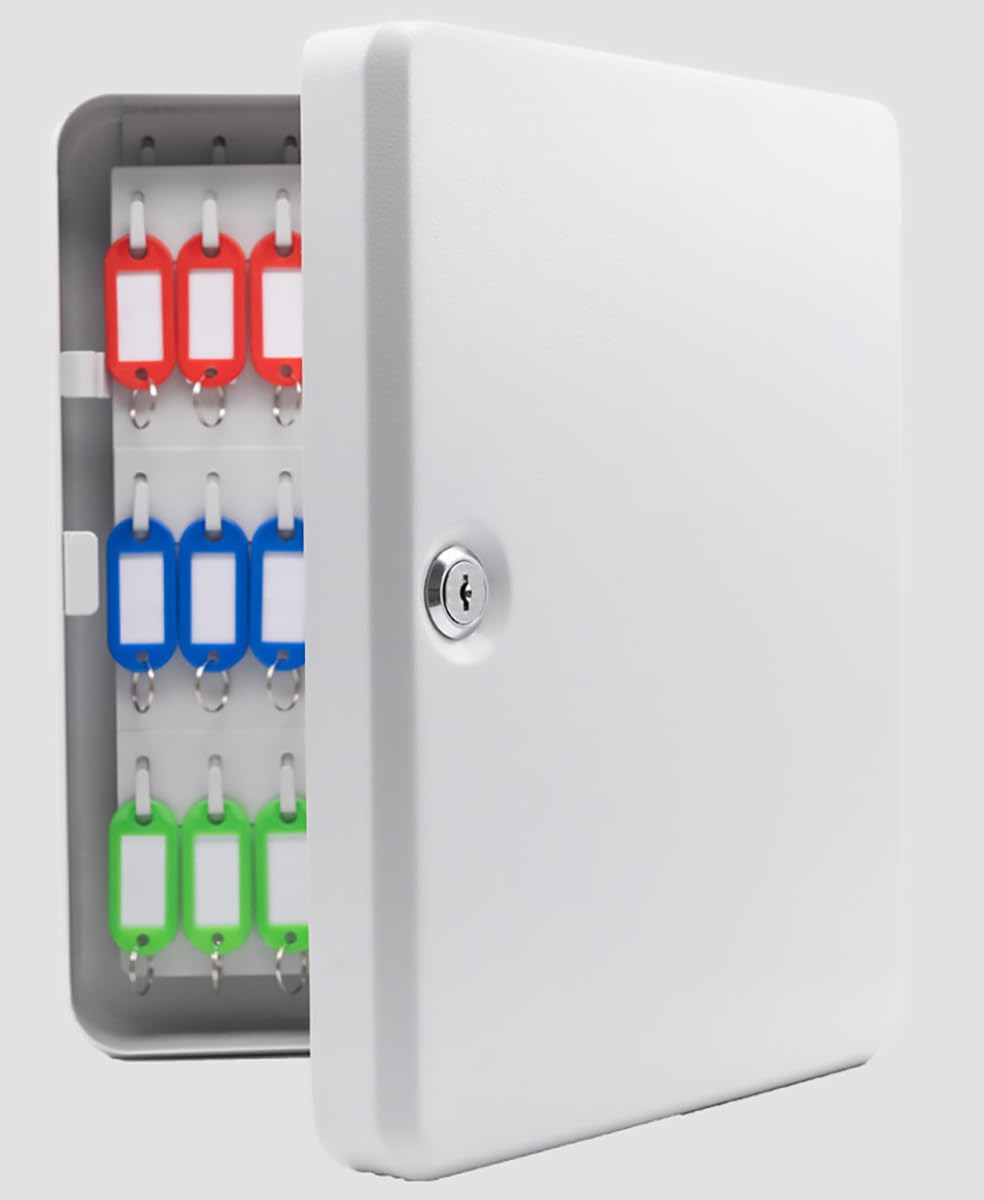 Armoire à clés Murale - Contient 48 clés, 48 étiquettes incluses, idéale pour la Maison, Le Bureau, Le Garage et Les Entreprises. Solutions de Rangement et de Gestion des clés.