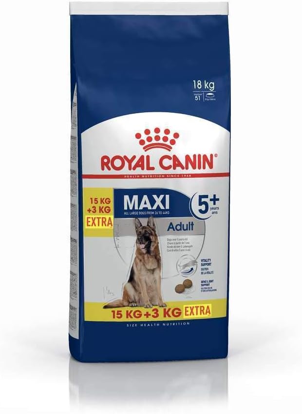 inflatable protective collar