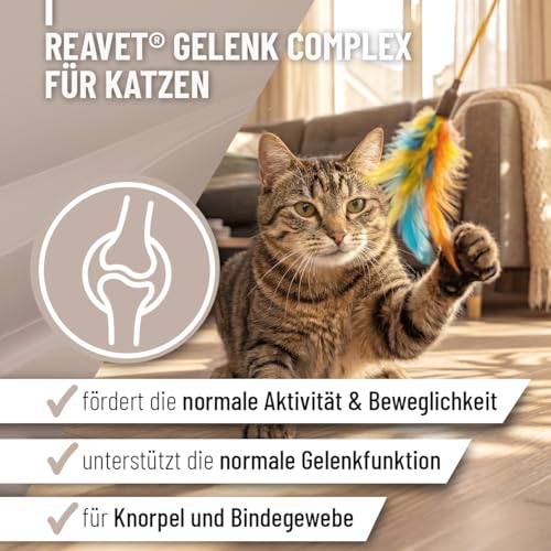 ReaVET Gelenk Complex Katzen 50g – Gelenkpulver mit Kollagen für Gelenke & Knorpel – Unterstützung der Beweglichkeit I Ergänzungsfuttermittel, Natürliche Gelenkunterstützung