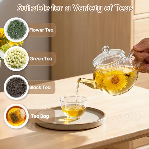 Amosfun Szklany dzbanek do herbaty z sitkiem, 250 ml, odporny na wysokie temperatury, szklany dzbanek na herbatę sypką i herbatę kwiatową, przezroczysty, łatwy do czyszczenia, do domu i biura