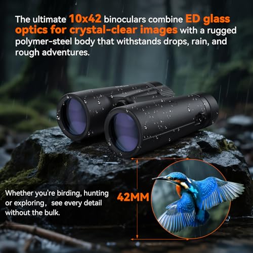 Binoculares 10x42 compactos impermeables y antiniebla miniatura 5