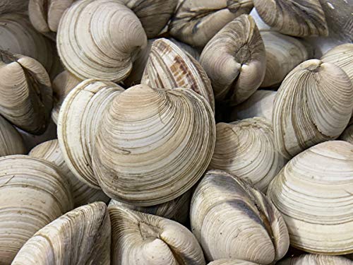 tY ij zrmXLi͂܂j 1kg i150g`100gj