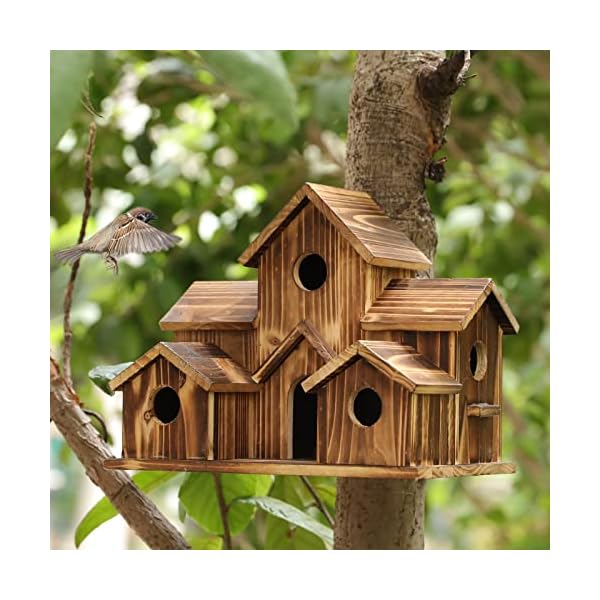 Wooden Bird Houses for Outside Hanging,Bird Houses for Outside Clearance,6 Hole Handmade Natural Bird House for Backyard/Courtyard/Patio Decor,Large Bird House