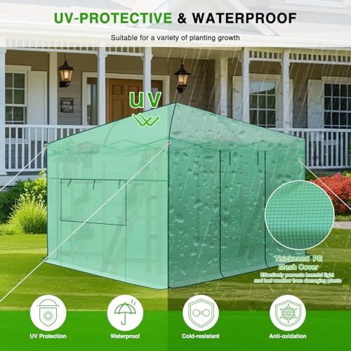 Yesker Greenhouse 10X10 FT Pop Up Greenhouses Tent Walk in Green House with Screen Windows Waterproof PE Cover Portable Large Greenhouse Kit for Outdoor Winter Gardening Backyard Patio Plant Outside
