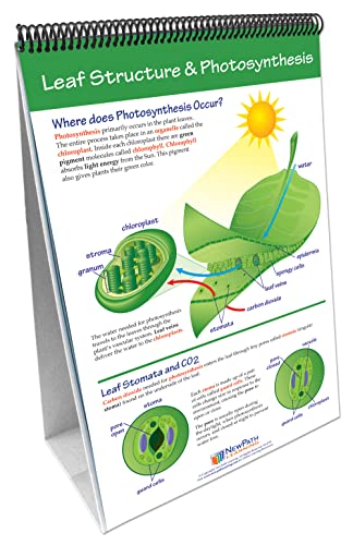 Image of NewPath Learning Photosynthesis & Cellular Respiration Laminated, Double-Sided inchWrite-On /Wipe-Off inch Flip Chart - Set of 10, 12 inch x 18 inch Charts (34-6726)