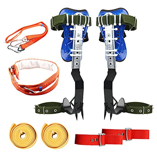 Amazon.ca Best Sellers The most popular items in Climbing Pitons & Aid Gear