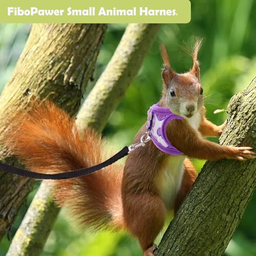 2 Stück Meerschweinchen Leine und Geschirr, verstellbare Anti-Escape-Weste Meerschweinchens Zubehoer,130cm Atmungsaktives Westengeschirr für Ratten, Frettchen,Bartagame(Purple & Red, M)