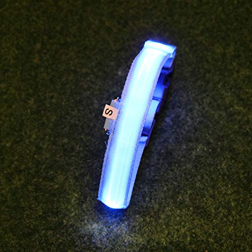 Coleira de cachorro de LED POPETPOP, coleiras personalizadas para cães, anel de animal de estimação