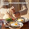 Sea to Summit Detour Stainless Steel Camp Plate, Beluga Black