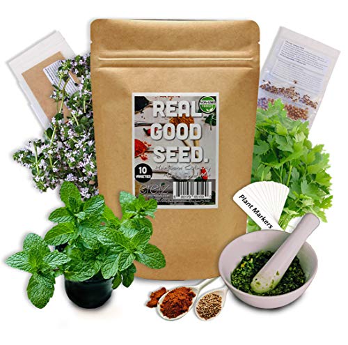 Heirloom Herb Seed Variety Pack by Eretz ~ 10 Popular Culinary Herbs + Bonus Flowers & Plant Markers! ~ 100% USA Sourced, Grown, & Packed. Premium, Non GMO, Fresh Herb, Spice Seeds ~ Indoor or Outdoor