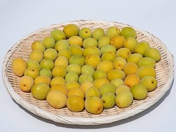 NAGOMI 無農薬 小梅 『yadokari☆』10kg Amazon.co.jp: 無農薬 小梅 梅の実 岩手県産 訳あり 1kg : 食品