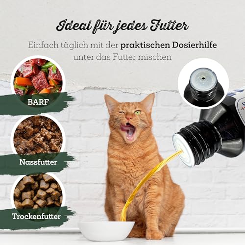 NordicVital Premium Algenöl 100ml für Hunde, Katzen & Pferde – 100% Vegan - Hochkonzentriertes Omega 3, EPA & DHA - Natürliches Barf Öl aus Algen für Fell & Haut – Abgefüllt in Deutschland