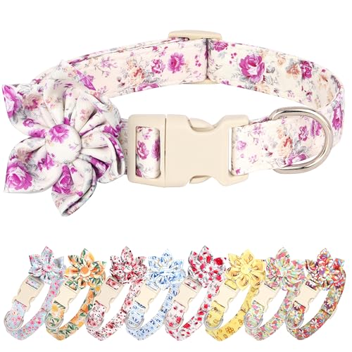 Collier mignon à printemps avec fleur violette anti-irritation taille S
