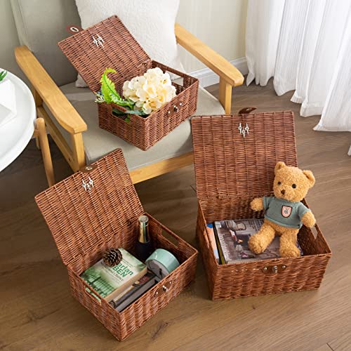 Homepeaz Set Of 3 Woven Wicker Storage Basket Box With Lid & Lock, Built-In Carry Handles, Multifunctional Storage Organiser For Nursery, Baby, Clothes, Toys, Books, Large/Medium/Small Size (Natural) #TOP1