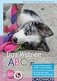 Cadmos Verlag GmbH