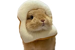 Halloween Rabbit Costume: Enchanting Pretend Play with Our Toasty Bread Slice Collar