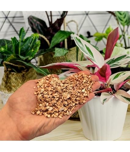 Vermiculit für Pflanzen von Biovita 5L pH-neutrales Substrat