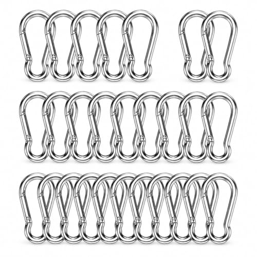 High-PQ 30PCS Carabiner Clip,Heavy Duty Spring Snap Hook,2IN(M5)