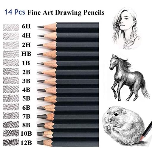 Set di matite da disegno Coocnh