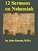 Twelve Sermons on Nehemiah
