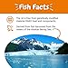 Zesty Paws Wild Alaskan Salmon Oil for Dogs & Cats - Omega 3 Skin & Coat Support - Natural EPA & DHA, Fatty Acids for Joint Function, Immune & Heart Health Liquid Food Supplement, 32 oz