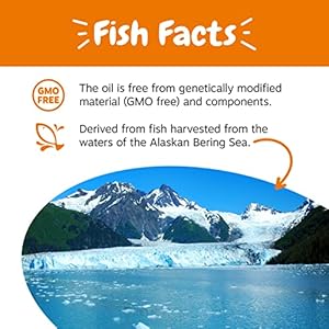   Wild-Alaskan-Salmon-Oil-for-Dogs-Cats-Omega-3-Skin-Coat-Support-Liquid-Food-Supplement-for-Pets-Natural-EPA-DHA-Fatty-Acids-for-Joint-Function-Immune-Heart-Health-32oz