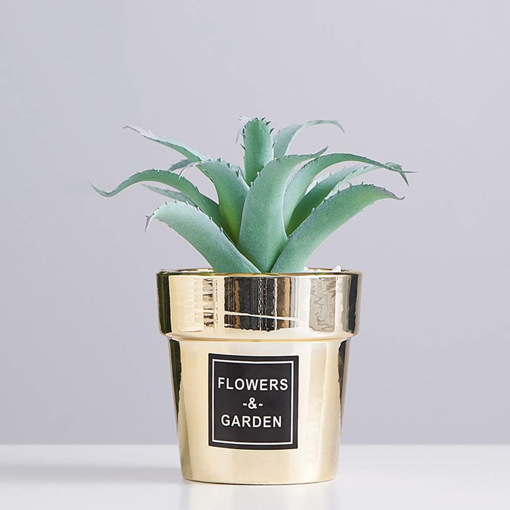 Plantes et fleurs artificielles en cadre décoratif pour créer une ambiance zen au bureau