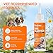 PUAINTA Dog Ear Cleaner Solution - Alcohol-Free Ear Wash with Quantum Silver & Witch Hazel - Soothes Itch, Removes Wax & Odor - Gentle Daily Flush for Dogs & Cats (8 oz)