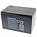 Produktbild Panasonic LC-RA1215P1 Akku 12 Volt 15Ah, Steckkontakte 6,3mm