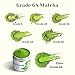 Venture Pal Ceremonial Grade Matcha Powder, Premium First Harvest Green Tea Powder – 100% Pure Matcha Tea, Vegan, Gluten-Free, Sugar-Free with No Additives (30g/1.06oz)