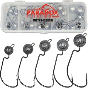 Paradox Fishing Offset Jigköpfe Set 24 Stück