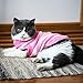 Striped Cat Sweaters Kitty Sweater for Cats Knitwear,Small Dogs Kitten Clothes Male and Female,High Stretch,Soft,Warm (L, Pink)