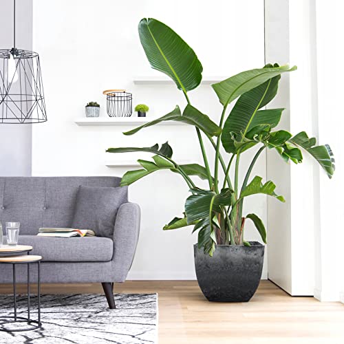 Rifny 12/10/8 Inch Plant Pots, Set Of 3 Square Large Planters For Indoor Plants Modern Decorative Square Flower Pots With Drainage For Indoor Plants Home Garden - Dark Gray #TOP5