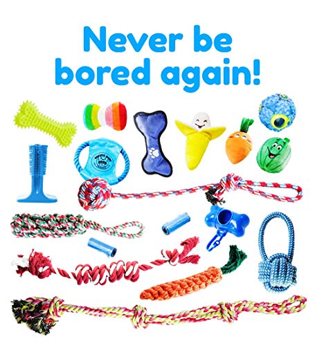 Pacific Pups Products for Dogs 18 Piece Dog Toy Set with Dog Chew Toys, Rope Toys for Dogs, Plush Dog Toys and Dog Treat… - Image 7