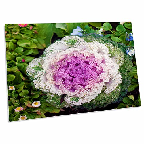 Alfombrilla de escritorio grande 3dRose 23x16 pulg miniatura 1