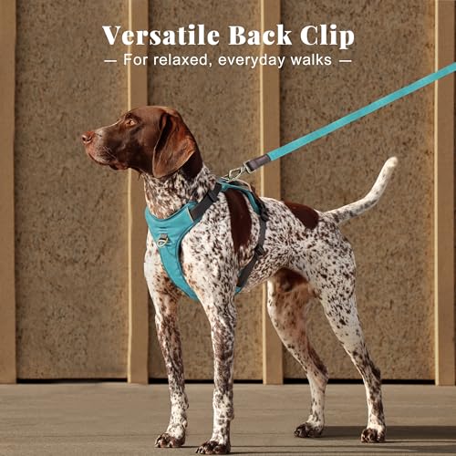 Image of Didog No Pull Dog Harness for Medium Dogs, Classic PU Leather, Light Blue,L