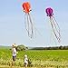 Hengda Kite-Pack 2 Colors Beautiful Large Easy Flyer Kite for Kids-Software Octopus-It's Big! 31 Inches Wide with Long Tail 157 Inches Long-Perfect for Beach or Park by Hengda kite