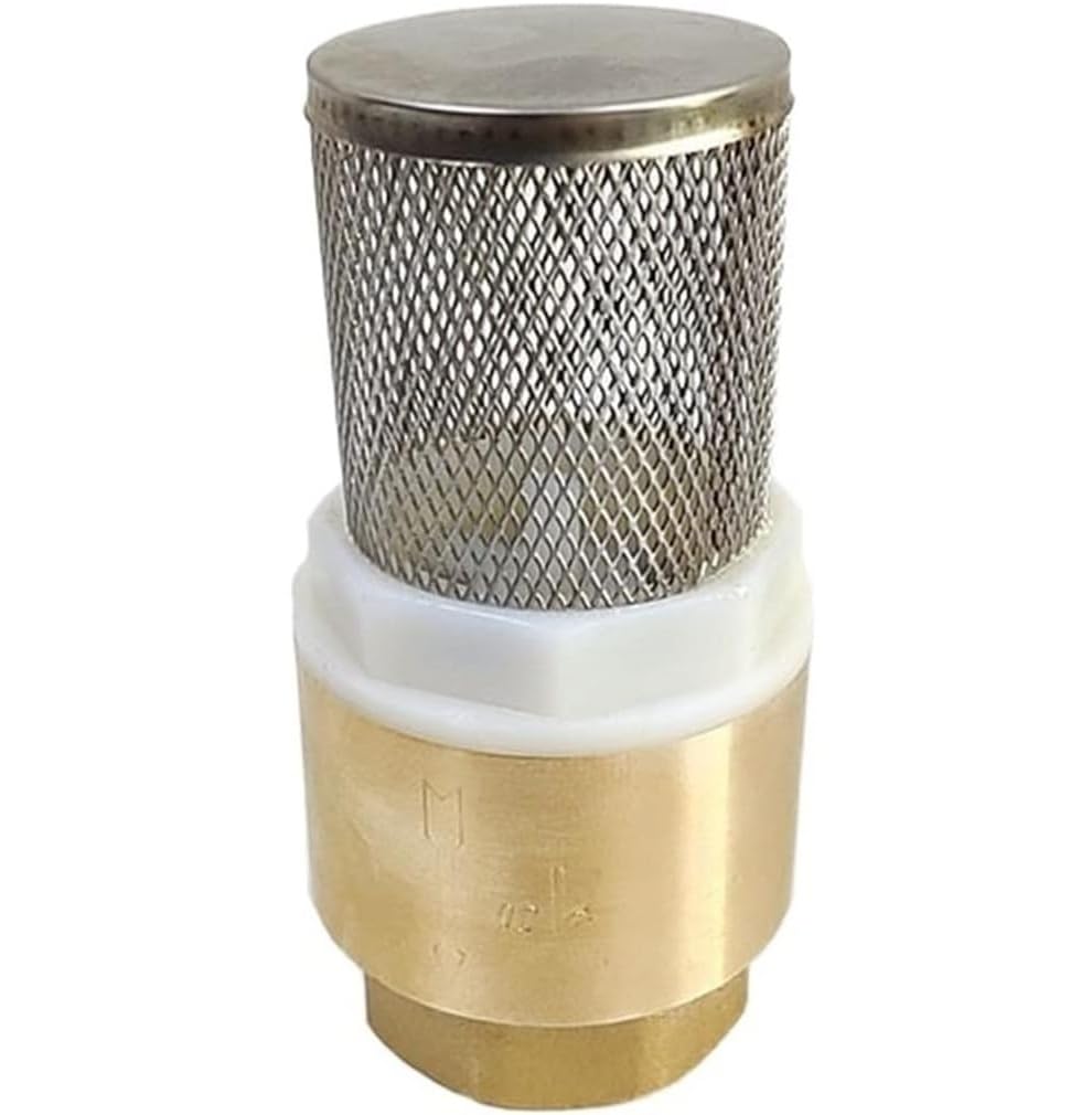 Valvola di ritegno verticale in ottone ad alta pressione da 1 pezzo 1/2 "3/4" 1 "con filtro for pompa 'acqua - Prevenzione affidabile del riflusso(1In)
