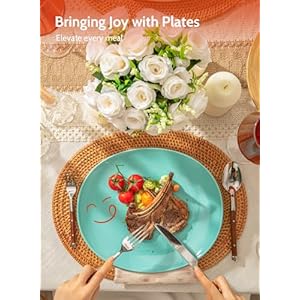 Sweese Porcelain Dinner Plates 11 Inch Dinner Plates Set of 6 Dishwasher Microwave Oven Safe Azure Dreamscape Color