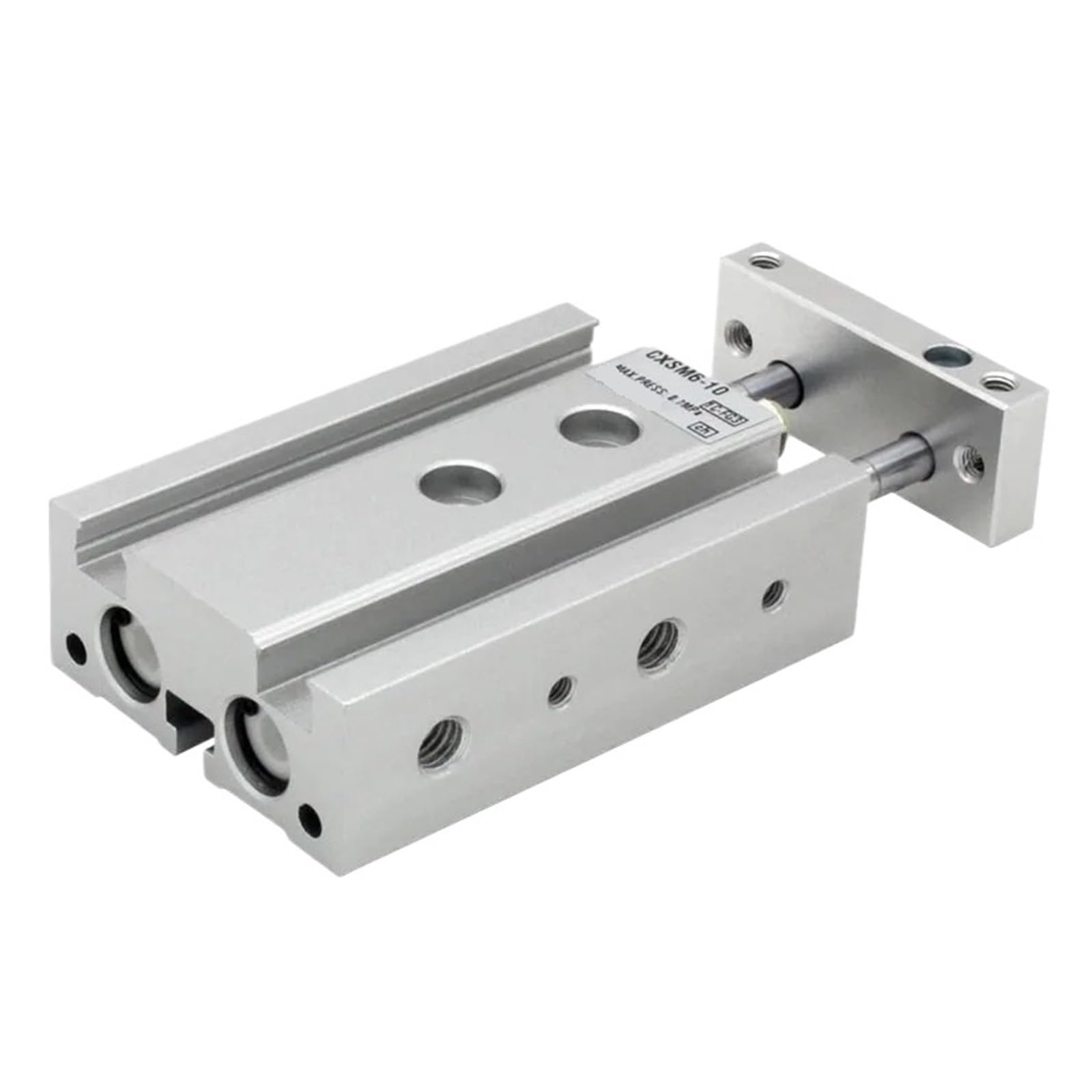 Vérin pneumatique CXSM32 double tige à guidage par palier lisse