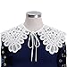 Joyci Women's White Hollow Out Lace Floral Fake Collar Lolita Big Shawl False Collar for Summer Dress (J10)
