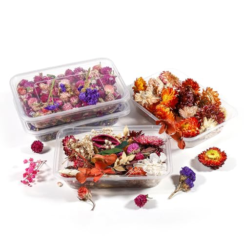 Materiales Florales Secos en Caja 37g Paquete x3 miniatura 3