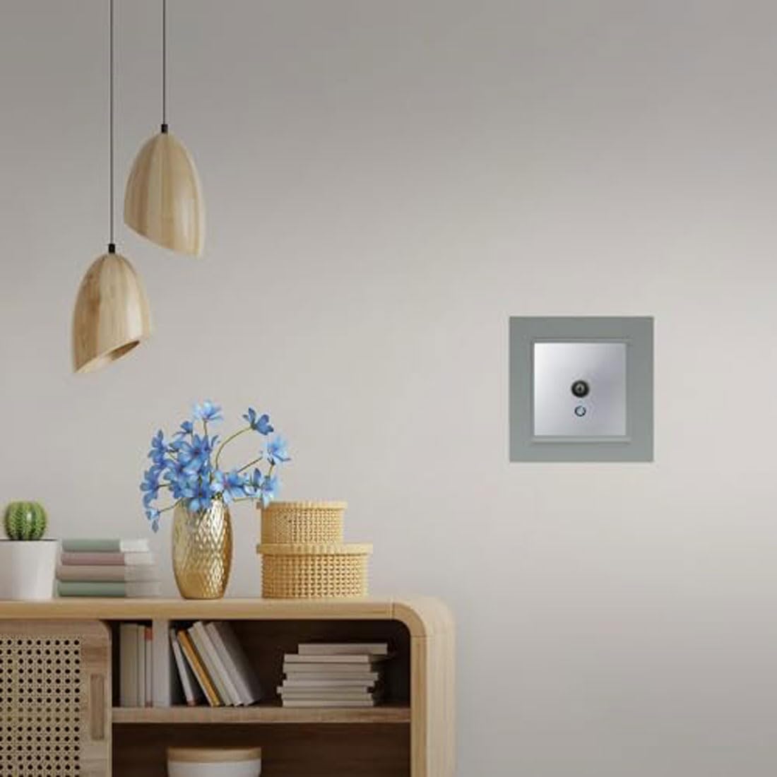 Toma De TV: Conexión Estable Y Fácil Instalación - Leroy Merlin