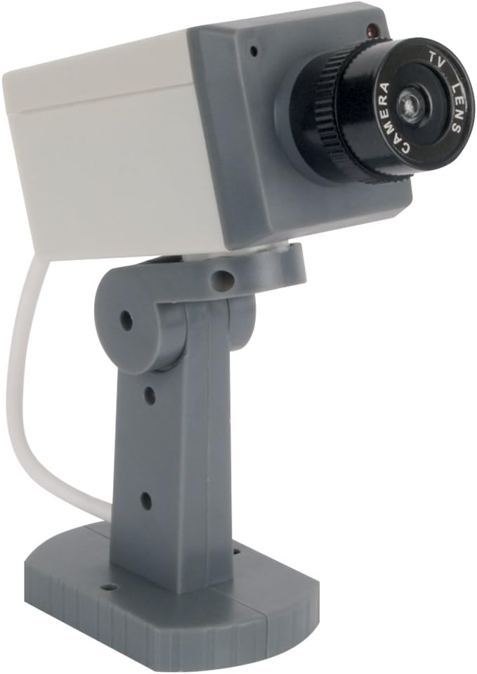 International Motion Detector Security Camera Novelty