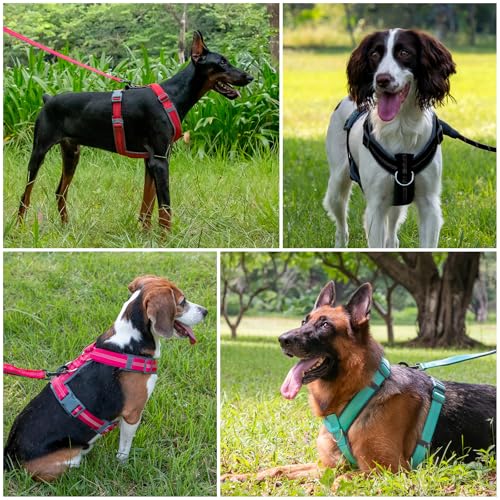 Plutus Pet No Pull Dog Harness, Adjustable Nylon Harness with Soft Padding, Reflective and Heavy Duty Dog Harness for Small, Medium, Large Dogs(Hot Pink, M) - Image 6