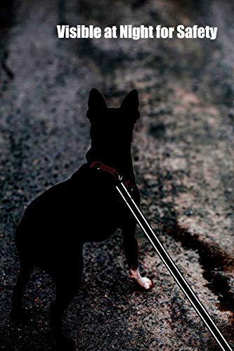 Sunnq Reflective Dog Leash For Small Dogs, 6 Ft (3/4 Inch X 6Ft, Black) #TOP7