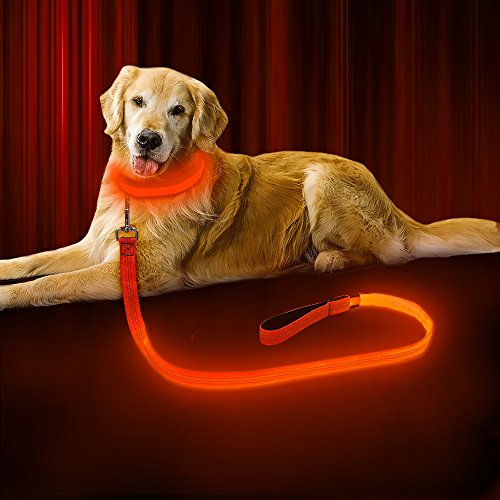BSEEN LED Dog Leash - USB Rechargeable 47.2 inch 120 cm Reflective Night Safety Pet Leash LED Strip to Keep You and Your Dog Safe…