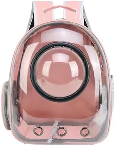 KryZaroFDJvZ^ybgL[{bNXbLpobObʋCbN |[^u